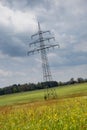 Electricity Pylon on Meadow with Flowers in front of Cloudy Sky Royalty Free Stock Photo