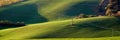 Electricity pylon and power lines on the green hills illuminated by the evening sun.South Moravian.Czech Republic. Royalty Free Stock Photo