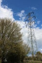 Electricity pylon and tree Royalty Free Stock Photo