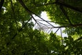 A power line pylon Royalty Free Stock Photo