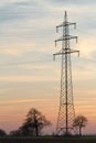 Electricity pylon with trees, Pfalz, Ger Royalty Free Stock Photo