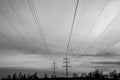 Electricity pylons black and white landscape Royalty Free Stock Photo