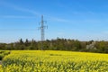 Electricity pylons in an blooming rapeseed field Royalty Free Stock Photo