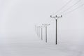 Electricity pylons from distribution power station in foggy winter freeze Royalty Free Stock Photo
