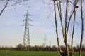 Electricity pylons and over head cables in the middle of a field framed by bare trees in the italian countryside