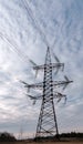 Electricity pylons and power lines, at sunset. Royalty Free Stock Photo