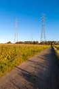 Electricity pylons in a rural setting Royalty Free Stock Photo