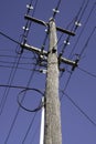 Electricity rural wooden utility pole with cables, lines and insulators in Melbourne Royalty Free Stock Photo