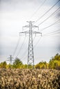 Electricity tower with lines on a field with grain in Poland. Royalty Free Stock Photo