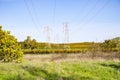 Electricity towers in the afternoon light, Livermore, east San Francisco bay area, California