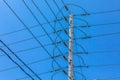 Electricity towers against a blue sky. Royalty Free Stock Photo