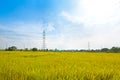 Electricity towers rice field with high voltage power pylons countryside Royalty Free Stock Photo