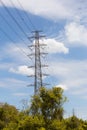 Electricity transmission pylon and branch