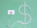 Electricity wall socket and power cord in the dollar sign Royalty Free Stock Photo