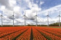 Electricity wind turbines in a row