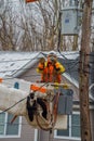 The electricity wooden pylon after snowfall on worker repairing power line