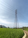 Electrict tower and ricefield Royalty Free Stock Photo