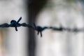 Electrified barbed wire fence in Auschwitz concentration camp Konzentrationslager Auschwitz in Poland Royalty Free Stock Photo