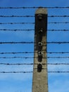 Electrified barbed wire