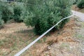 Electrified fence on a farm to prevent livestock from escaping