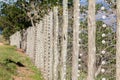 Electrified Fence Wiring Detail Royalty Free Stock Photo