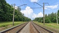 Electrified railroad tracks on concrete sleeper are laid along the mixed forest. The wires are attached to metal structures and co