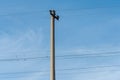 Electrified railway pole on blue sky background.