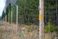 Electrofence at the edge of the forest Royalty Free Stock Photo