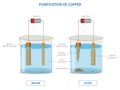 Electrolysis of copper sulfate solution with impure copper anode and pure copper cathode Royalty Free Stock Photo