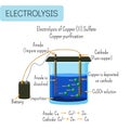 Electrolysis of copper sulfate solution with impure copper anode and pure copper cathode Royalty Free Stock Photo