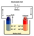 Electrolytic cell infographic diagram with components