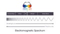 Electromagnetic spectrum wavelengths and frequency vector graphic