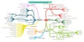 Decision Support System mind-map