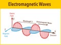 Electromagnetic Wave structure and parameters, vector illustration diagram with wavelength, amplitude, frequency, speed and wave Royalty Free Stock Photo