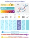 Electromagnetic Waves: Ultraviolet Wave Spectrum. Vector illustration diagram with wavelength, frequency, and wave structure.