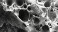Electron micrograph displaying the compact and uniform structure of glycogen granules within a cell