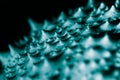 Electron Microscope image of Virus surface