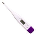 Electronic body thermometer isolated