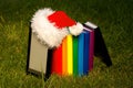 Electronic book reader wearing Santa's hat Royalty Free Stock Photo