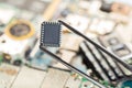 Electronic chip in tweezers