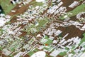 Electronic circuit board close up.