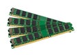 Electronic collection - computer random access memory (RAM) modules