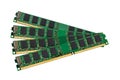 Electronic collection - computer random access memory (RAM) modules