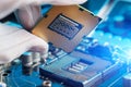 Electronic engineer of computer technology. Maintenance computer cpu hardware upgrade of motherboard component. Pc repair, Royalty Free Stock Photo