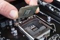 Electronic engineer installing microprocessor. Maintenance computer cpu hardware. Hand holding a computer processor chip. Royalty Free Stock Photo