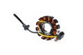 Electronic Ignition motorcycle or scooter .motorcycle magnetic coil with 12 poles on white background Royalty Free Stock Photo