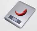 Electronic kitchen scales with a pepper Royalty Free Stock Photo