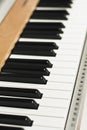 Electronic Piano Keyboard