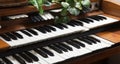 Electronic piano keyboards close up Royalty Free Stock Photo
