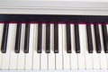 Electronic piano keys. Musical instruments